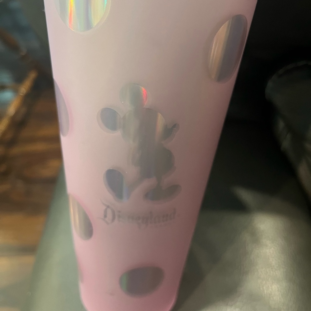 DISNEYLAND Mickey Mouse Piglet Pink Starbucks Tumbler 2022 Venti NEW w/Straw NEW